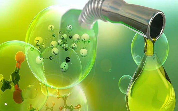 la bioenergía ofrece soluciones