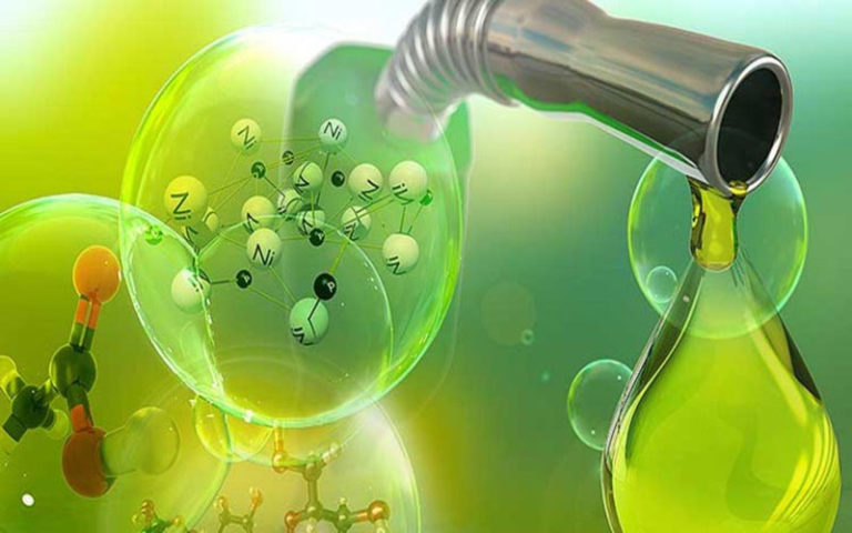 la bioenergía ofrece soluciones