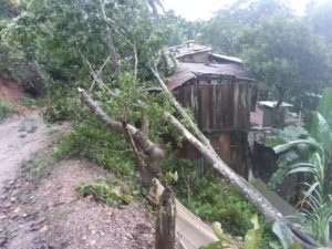 Trojes, El Paraíso, nuevamente golpeado
