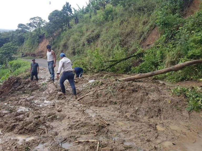 amenazan producción de café