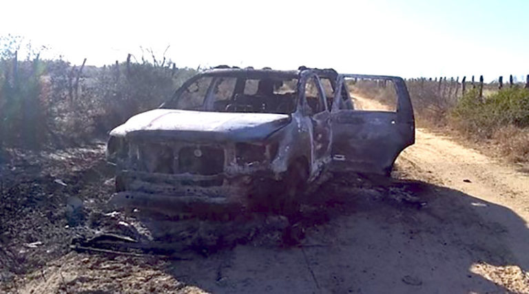 Hallan 19 cadáveres baleados y calcinados