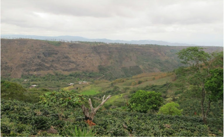 reserva biológica de Montecillos