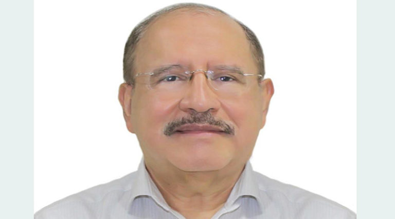 Si yo fuera diputado