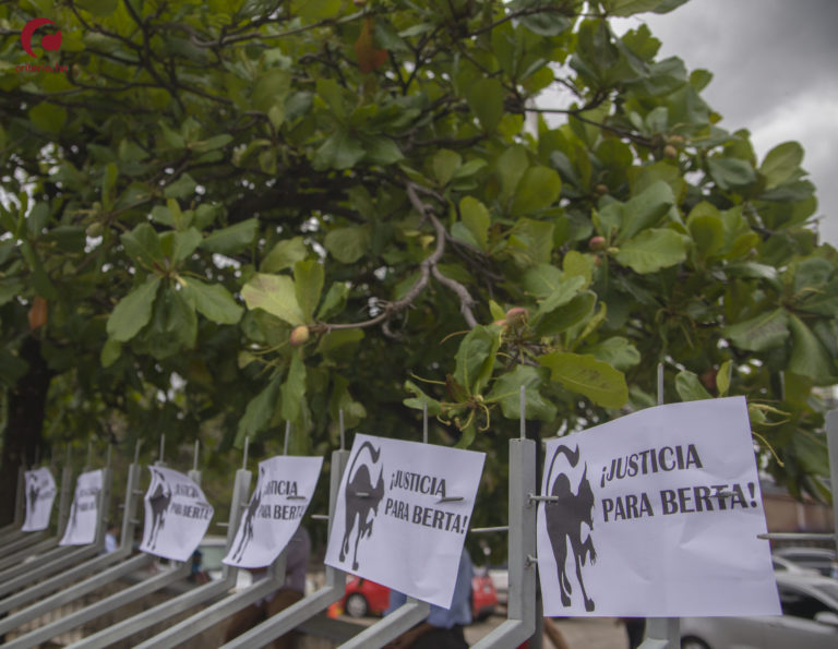 Exhiben nuevas pruebas en caso de Berta Cáceres