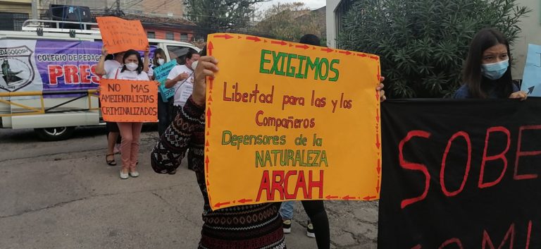 ambientalistas de ARCAH