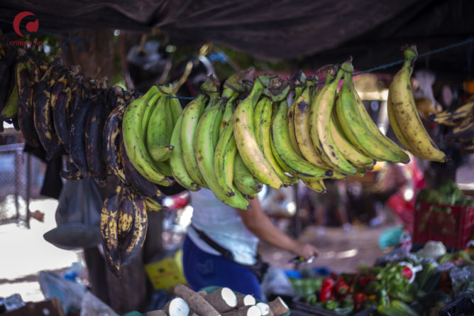 microempresarios Honduras