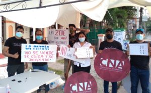 Más de 15 mil firmas a favor de iniciativa ciudadana