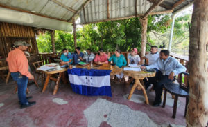 Choloma cabildo abierto ZEDE