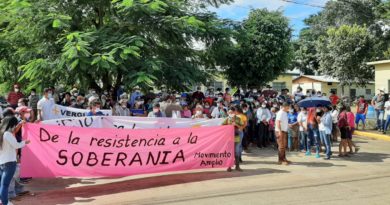 Pueblo Tolupán exige cese al saqueo del bosque