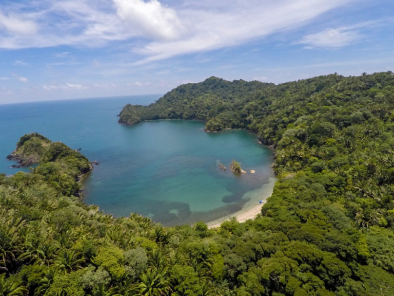 adjudicación irregular en Parque Jeanette Kawas