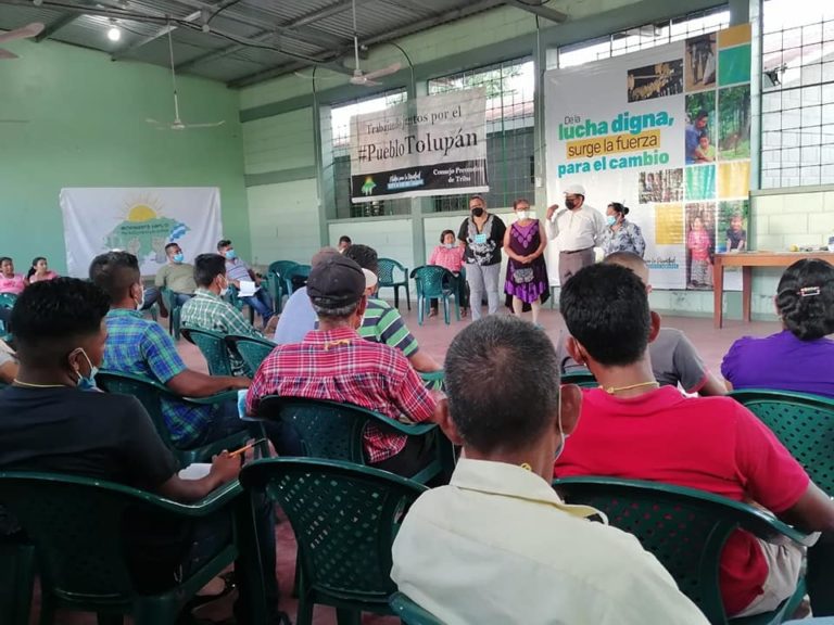 Tala ilegal y no reconocimiento a título ancestral enfrentan tolupanes