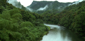 Pueblo Tawahka, en peligro de extinción