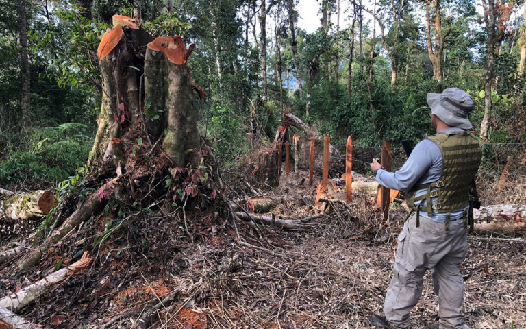 daño ambiental a Parque Nacional “Carlos Escaleras”