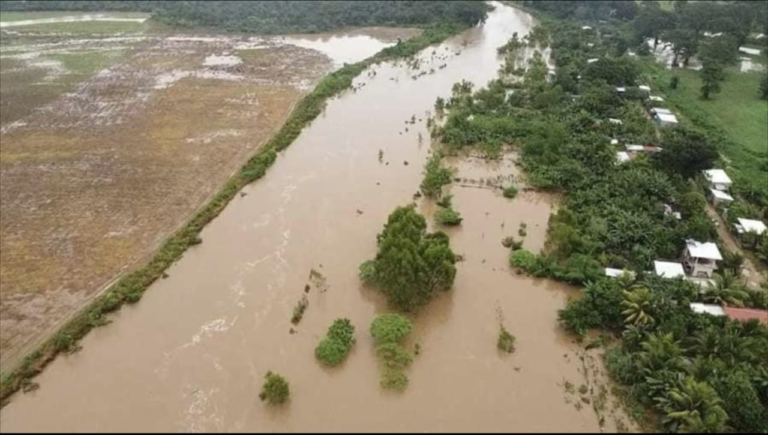 Las lluvias han causado inundaciones y perdidas millonarias en los cultivos, viviendas e infraestructura vial