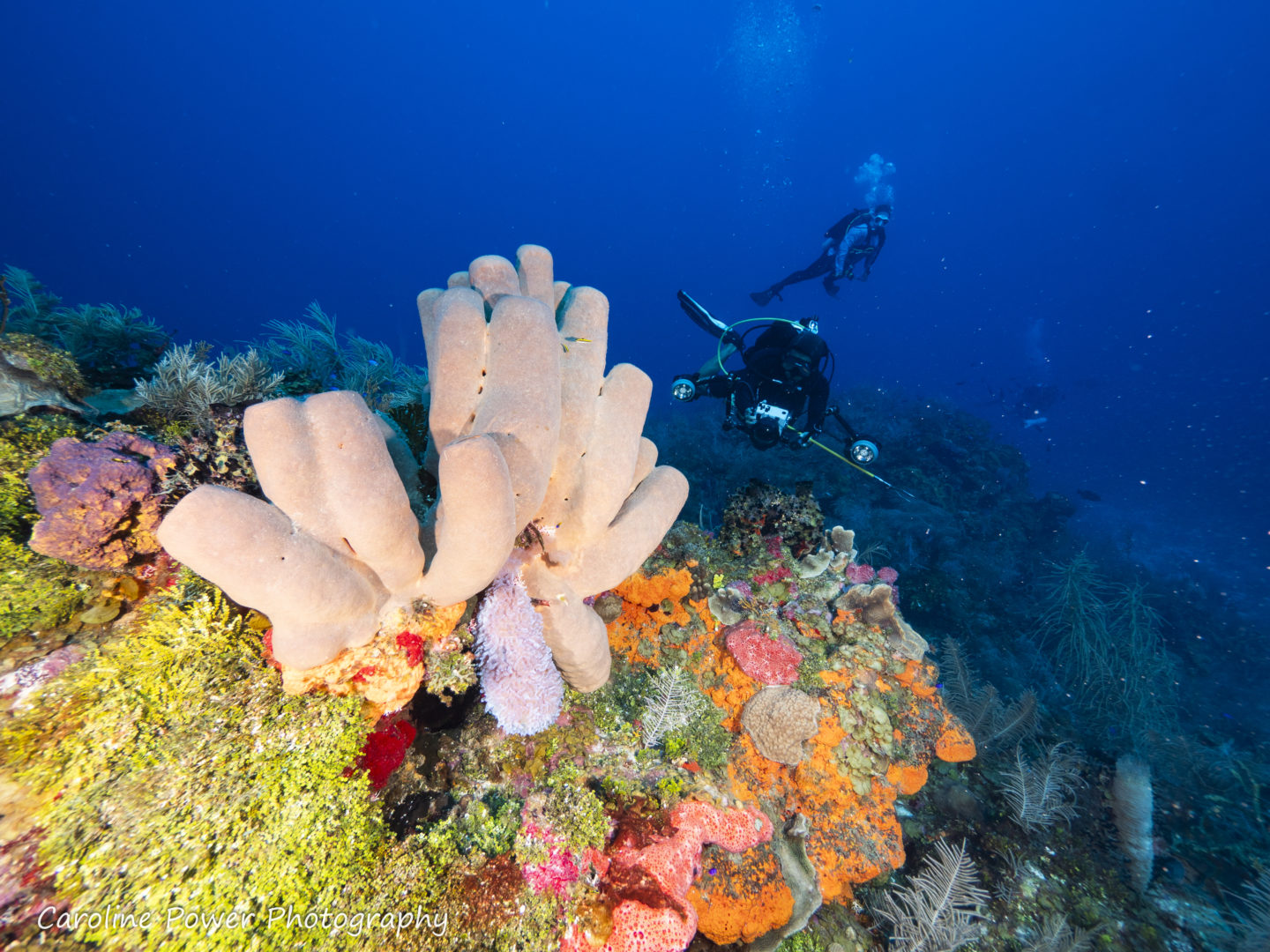 Cárcel Islas del Cisne