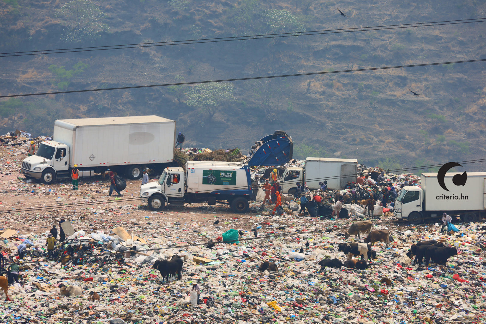 William Vélez Sierra Honduras