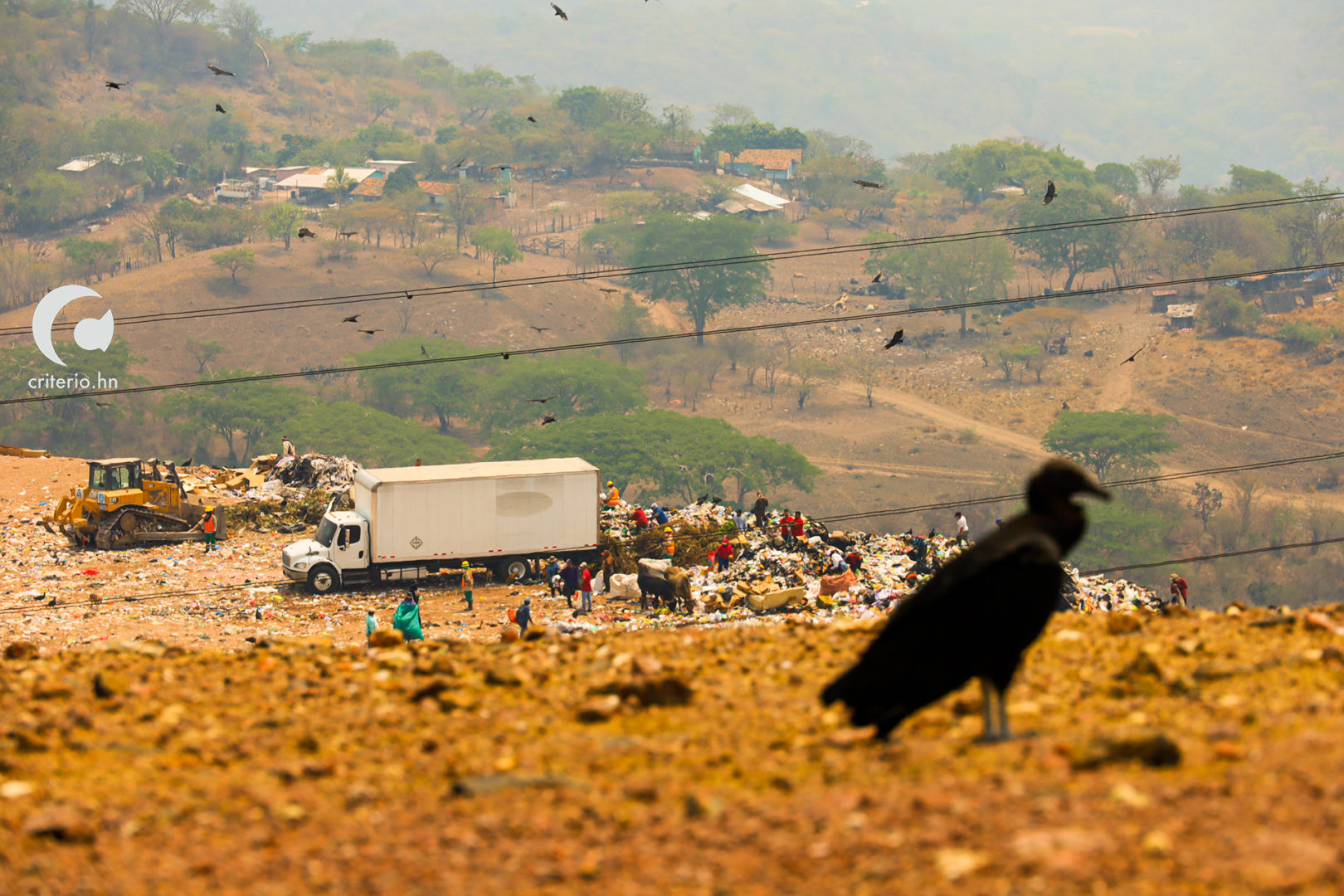 William Vélez Sierra Honduras