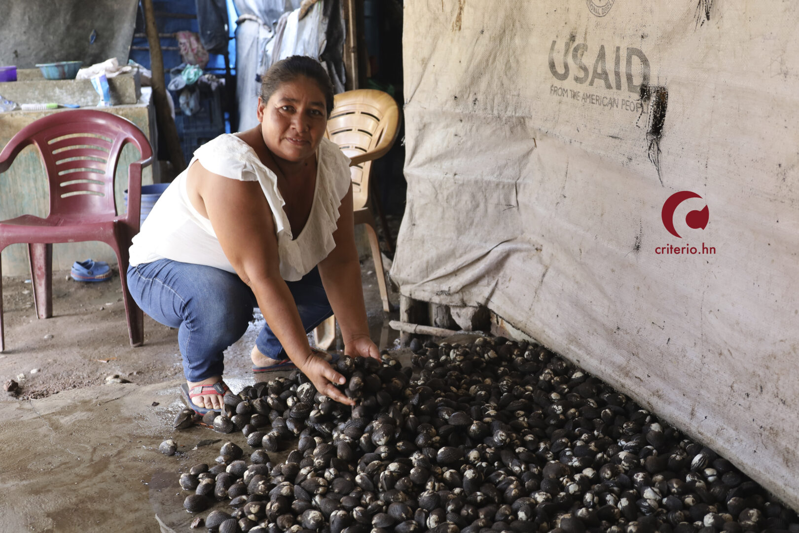 Mujeres pescadoras