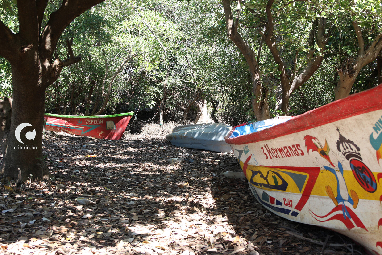 Mujeres pescadoras