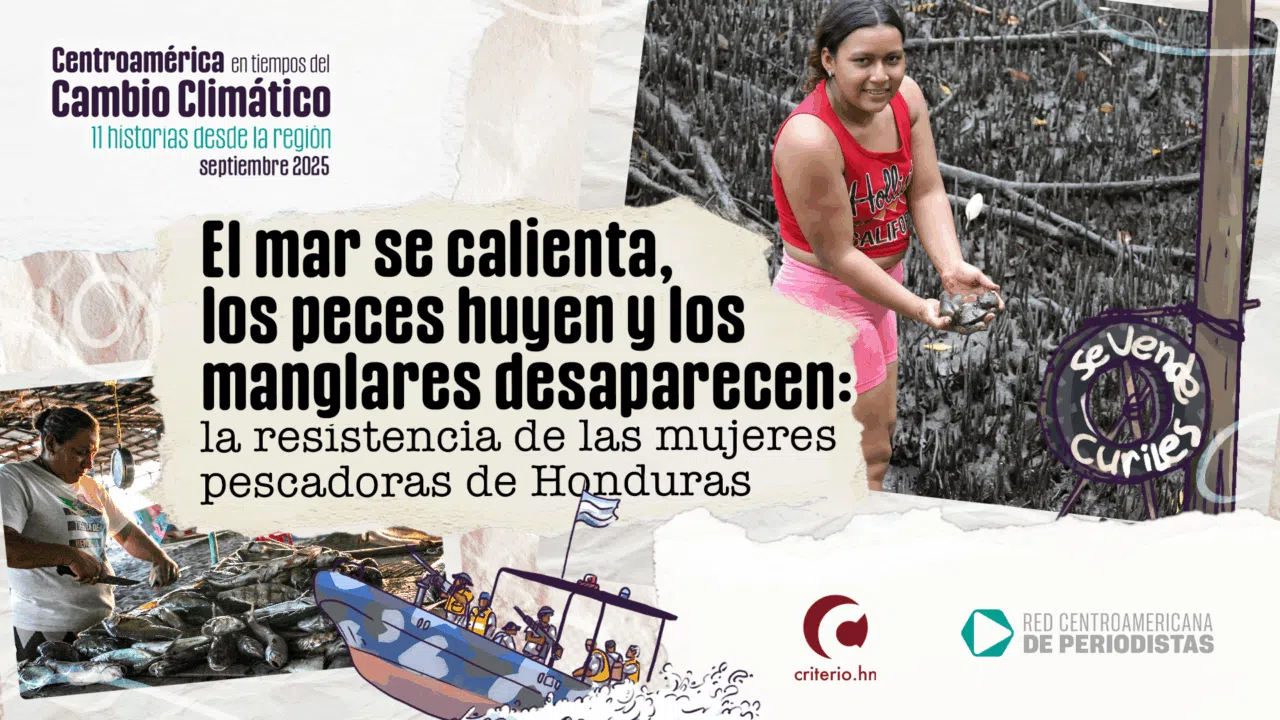 Mujeres pescadoras