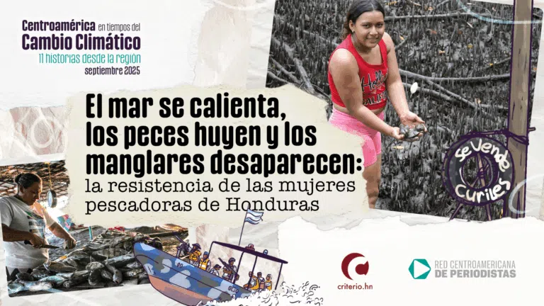 Mujeres pescadoras