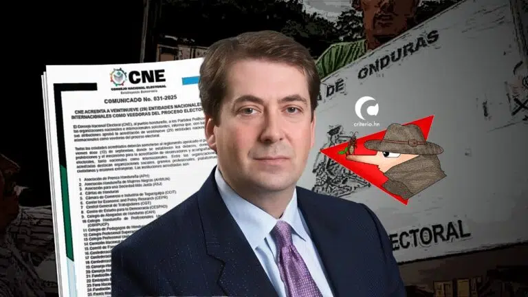 Observaciòn electoral