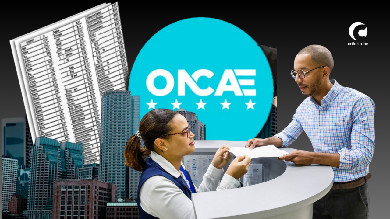 Proveedor del Estado